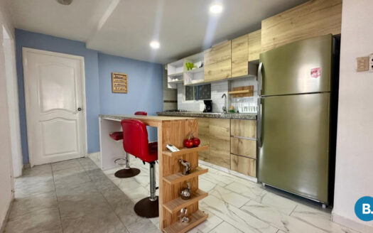 Apartamento en Bocagrande, Cartagena #316