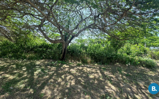 Lote en Lagos de Caujaral, Pto. Colombia #334