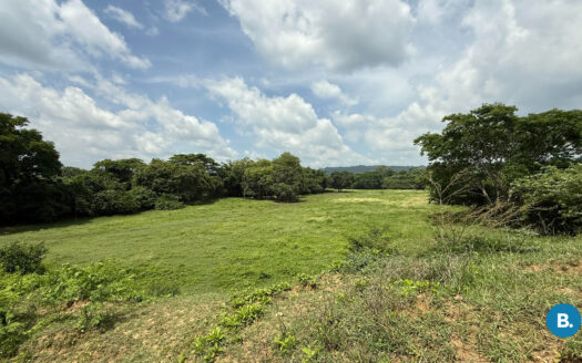 Lote en Gambote bolivar #421