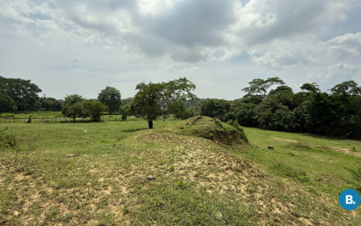 Lote en Gambote bolivar #421