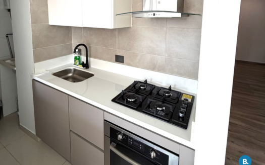 Apartamento en Arriendo en Centro Histórico #444