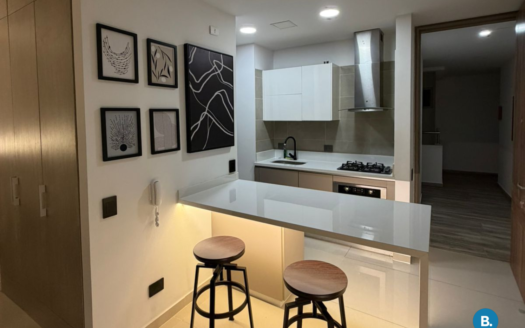 Apartamento en Arriendo en Centro Histórico #444