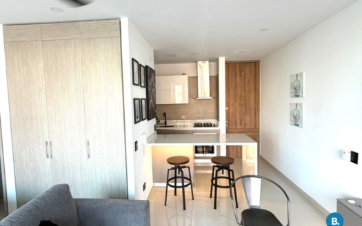 Apartamento en Arriendo en Centro Histórico #444