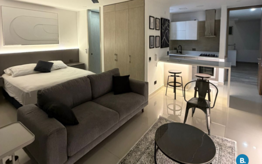 Apartamento en Arriendo en Centro Histórico #444